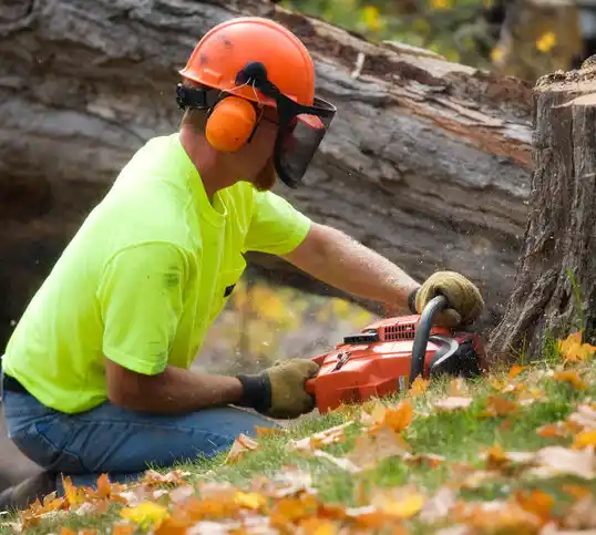 tree services Gardere